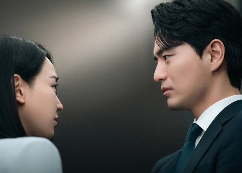 나의 해리에게 드라마 OTT 줄거리 몇부작 시청률 재방송 편성표