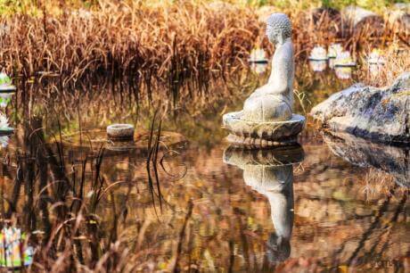 남양주 묘적사 : 자연과 불교문화가 함께 숨쉬는 도량 비밀스러운 승군 훈련지와 천년의 고요가 머무는 힐링 사찰