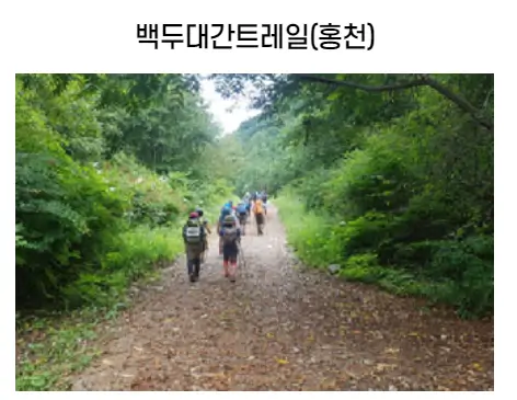 숲길체험-트레일