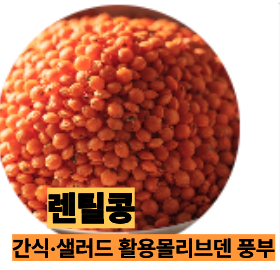 몰리브덴 많은 렌틸콩