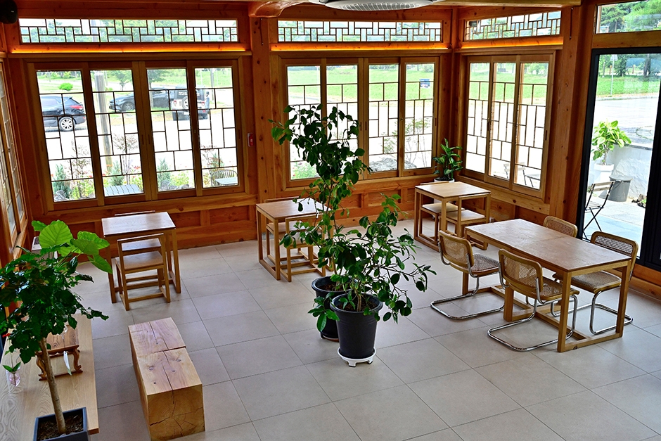 장성 황룡강 홍길동무 꽃길 축제