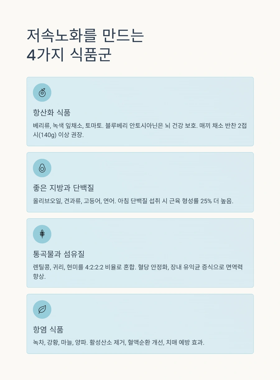 항산화 식품부터 좋은 지방까지 저속노화를 돕는 4가지 식품군