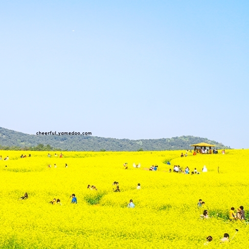 5월 국내여행지 베스트 10