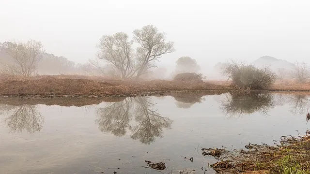 포천 백운계곡 물놀이 명소 카페 청운쉼터 리뷰 안내_2