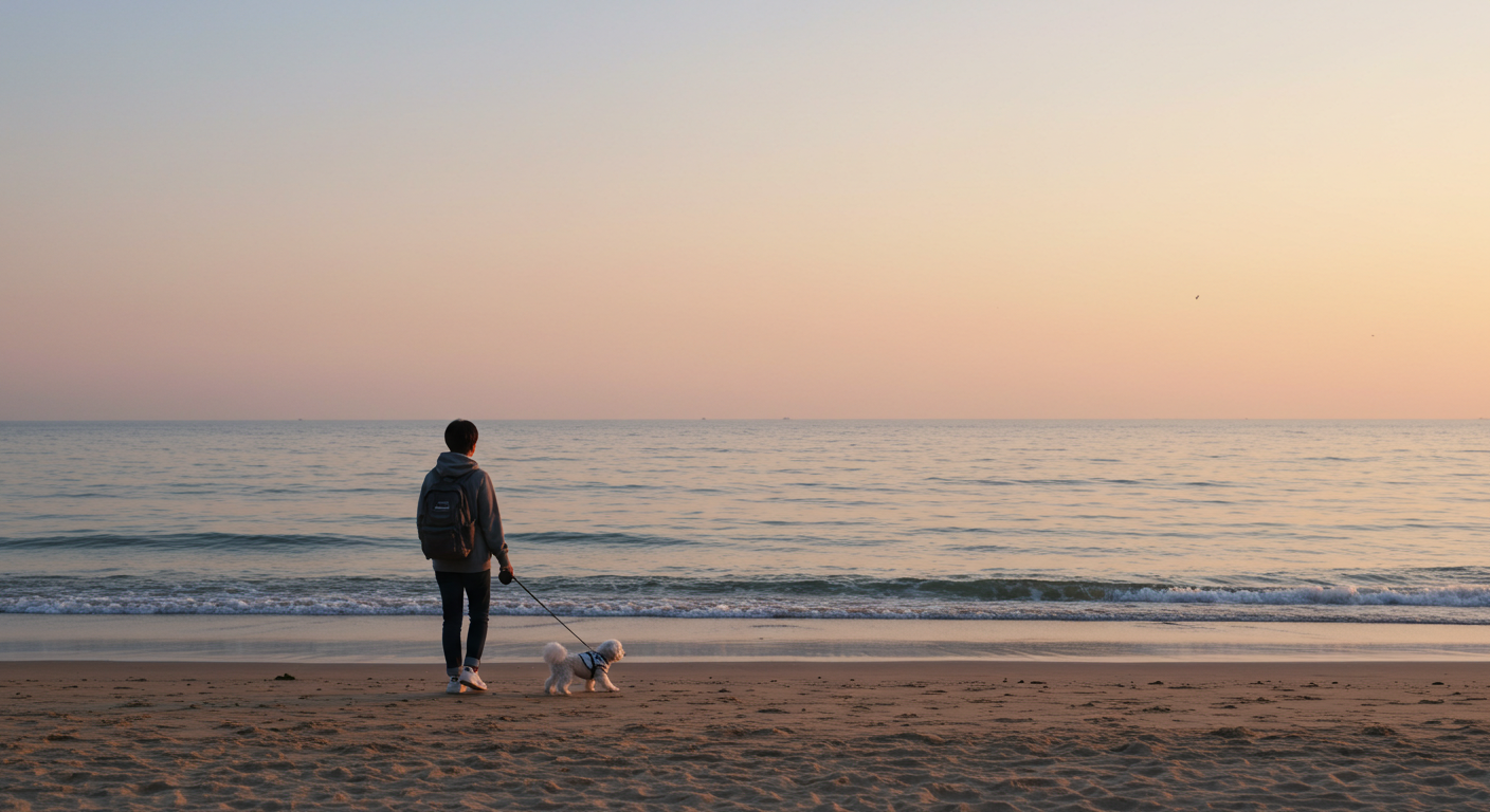 강릉 경포해변에서 반려견과 함께 산책하는 한국인