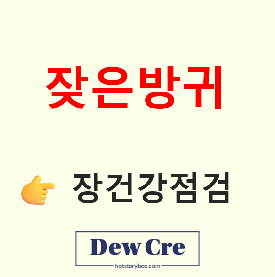 잦은 방귀 원인과 장 건강 개선 습관 총정리