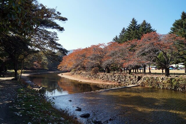 속리산 자연풍경 시냇물과 나무가 아름답게 보인다.
