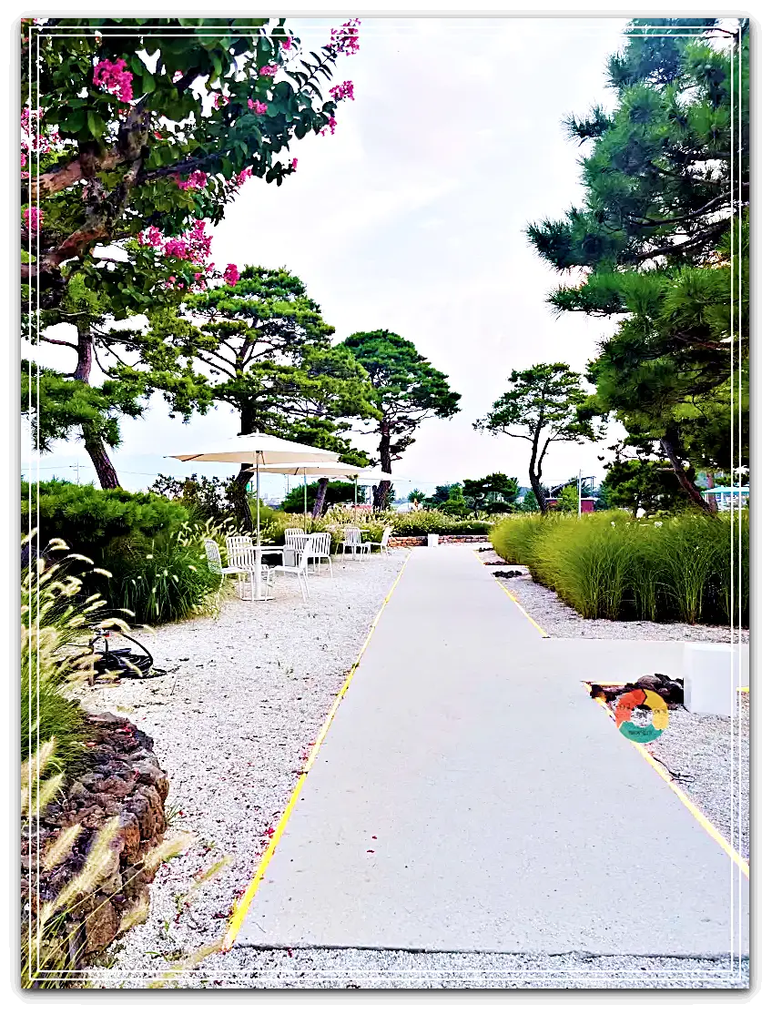 엔드투앤드_엔드투앤드_에필로그존2-붉은꽃나무-소나무-조명-런어웨이같은길