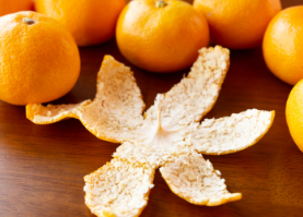 개가 귤을 먹어도 괜찮은가