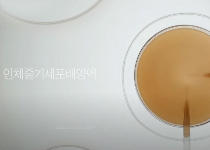 스템벨 가격, 판매처, 크림, 후기