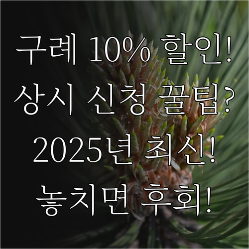 2025 구례사랑상품권 10% 할인 ..