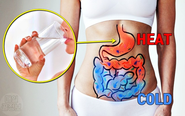 아침 물한잔 효능 효과,소화가 안될때,배가 차가운 이유 증상,건강,팁줌