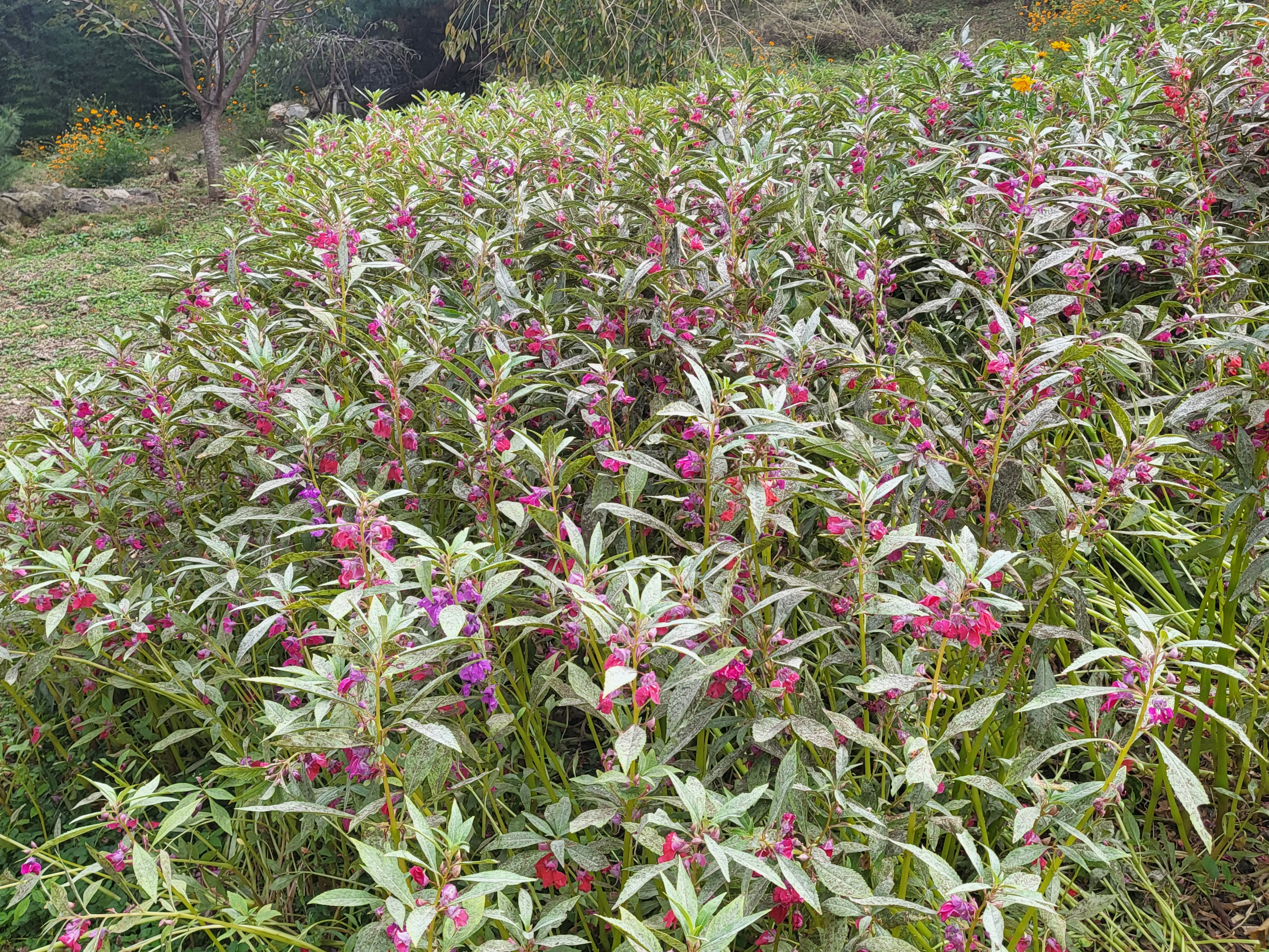 천년 고찰 장안사&amp;#44; 둘레 길을 따라 올라가면 운치 있는 백련암과 절벽 같은 곳의 척판암