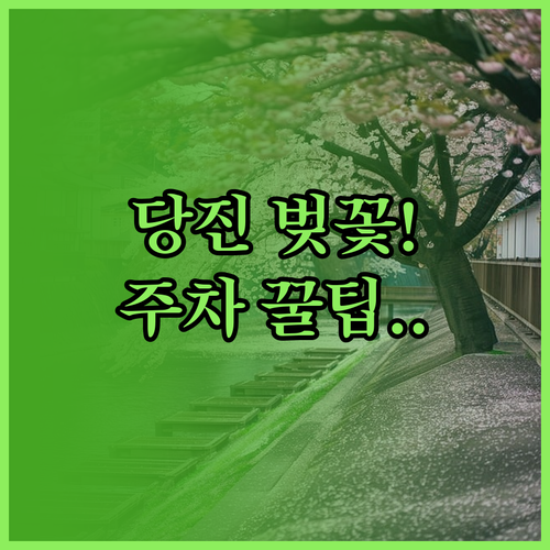 2026 당진 벚꽃 축제 일정 및 주..