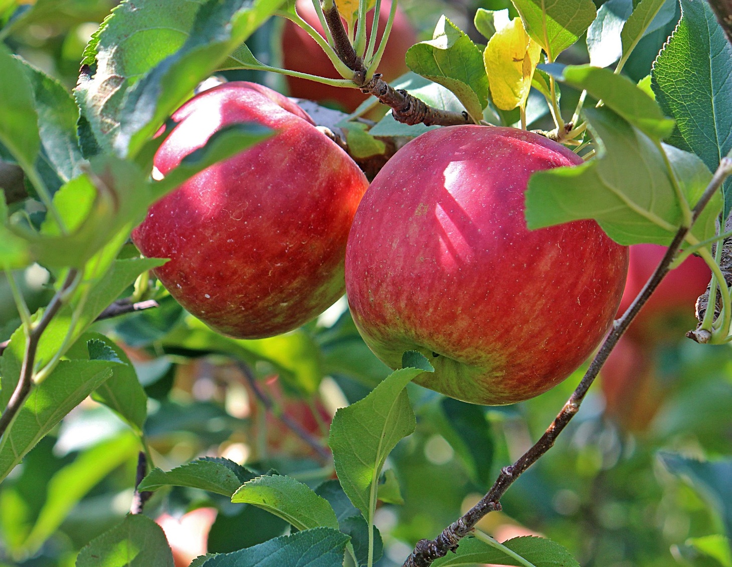 약보다 중요한 신장 회복 생활 루틴! 
