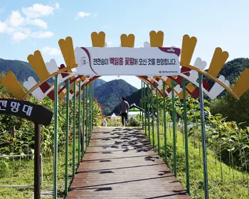 평창 백일홍 축제_10