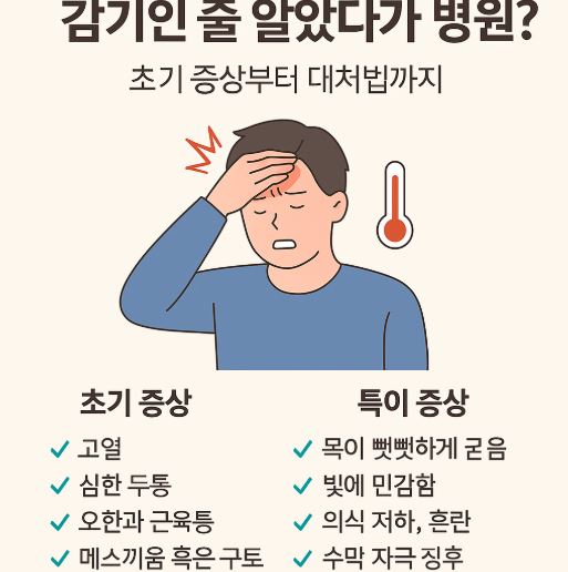 성인뇌수막염 관련 사진
