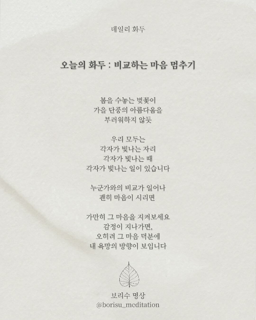 환희지의 보리수 명상 : Day 4 화두: 비교하는 마음 멈추기