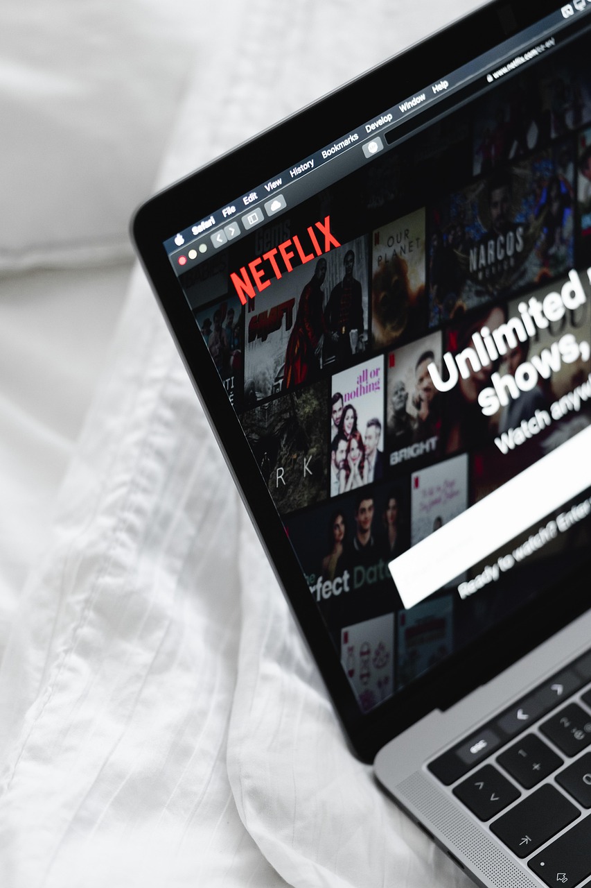 넷플릭스 오리지널