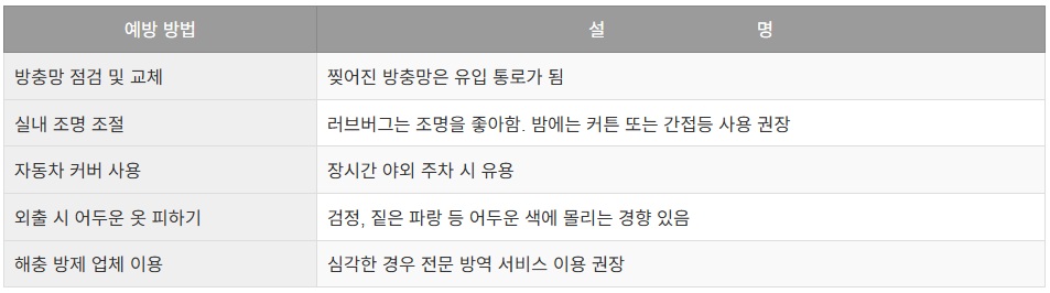 러브버그 발생 시기와 퇴치법 총정리 (2025년 최신 가이드)