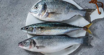 오메가3 효능, 섭취법, 주의사항 총 정리 (2025 최신)