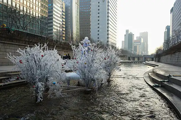 청계천 윈터페스타 인생샷 명소 BEST 5