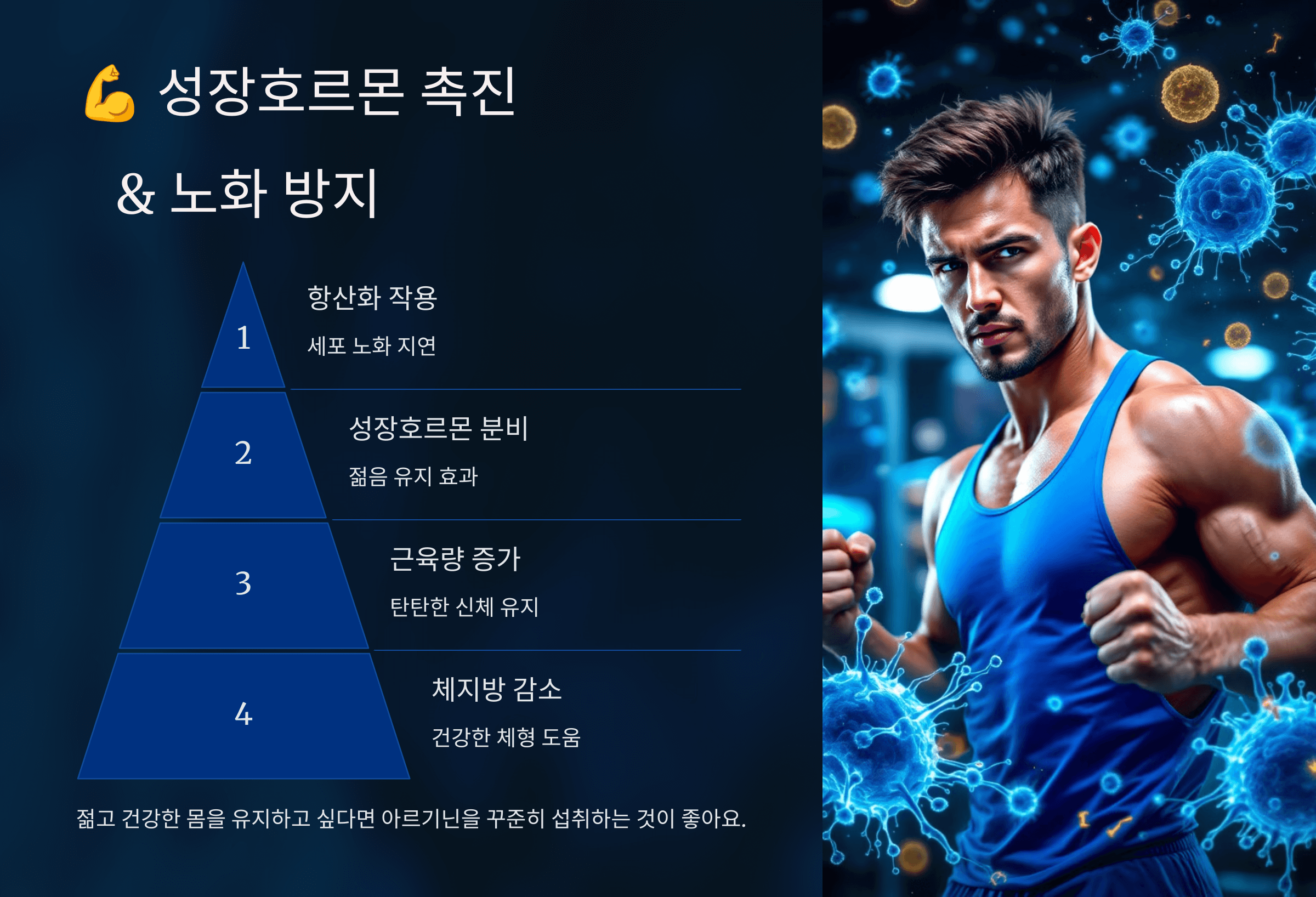 아르기닌과 관련된 사진입니다.