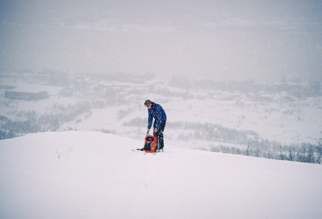 Ski pole