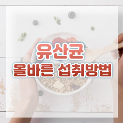 #유산균 #유산균 종류 #유산균 효능 #유산균 부작용#유산균 먹는시간 #유산균 프로바이오틱스 #유산균 복용시간 #유산균 먹는법 #유산균 추천 #유산균 시간