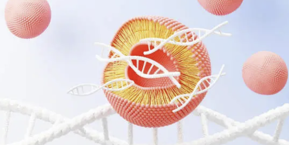 LC-MS/MS 기반 Lipidomics 분석으로 항암제 내성 메커니즘 탐색