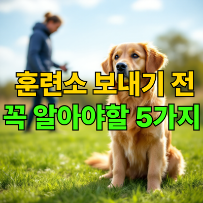 강아지 훈련소 보낼 때 주의사항 및 후기