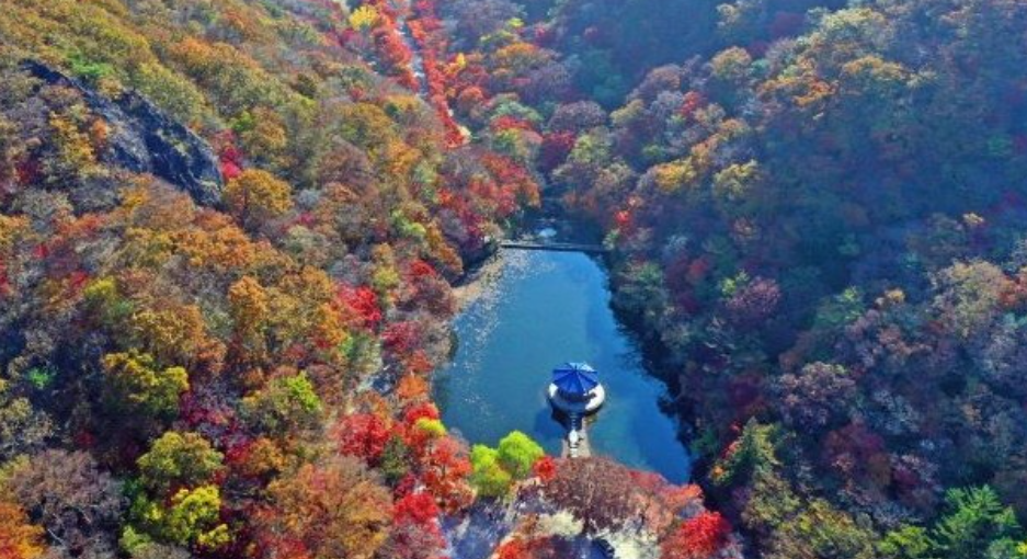 정읍의 내장산 치유의 숲