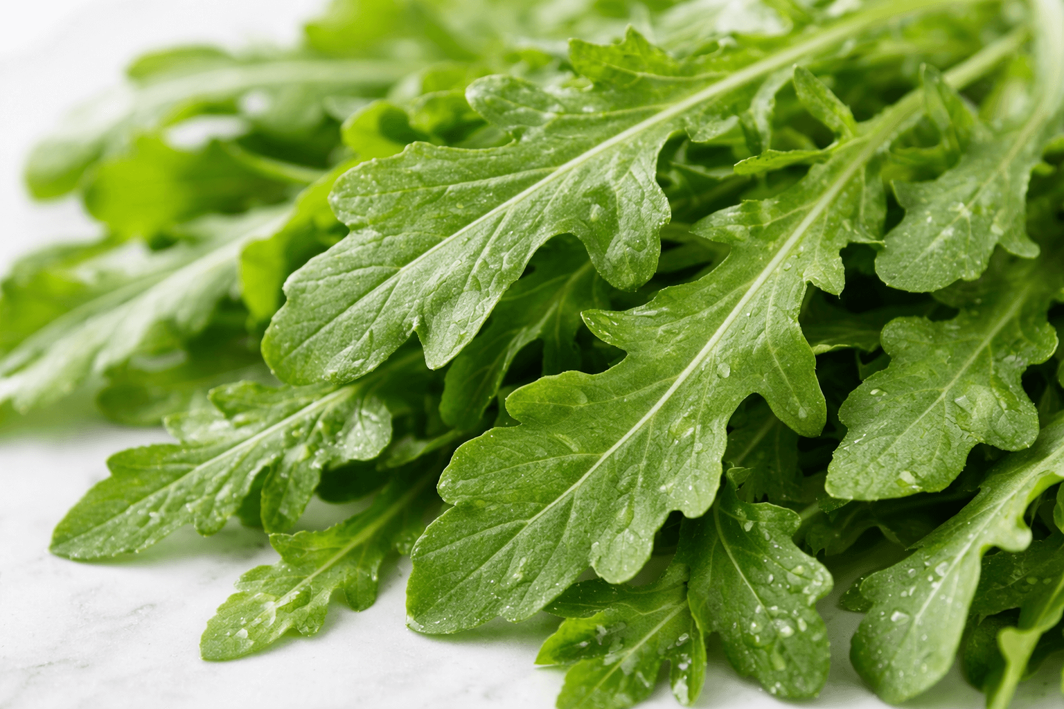 신선하게 즐기는 루꼴라 샐러드 활용법