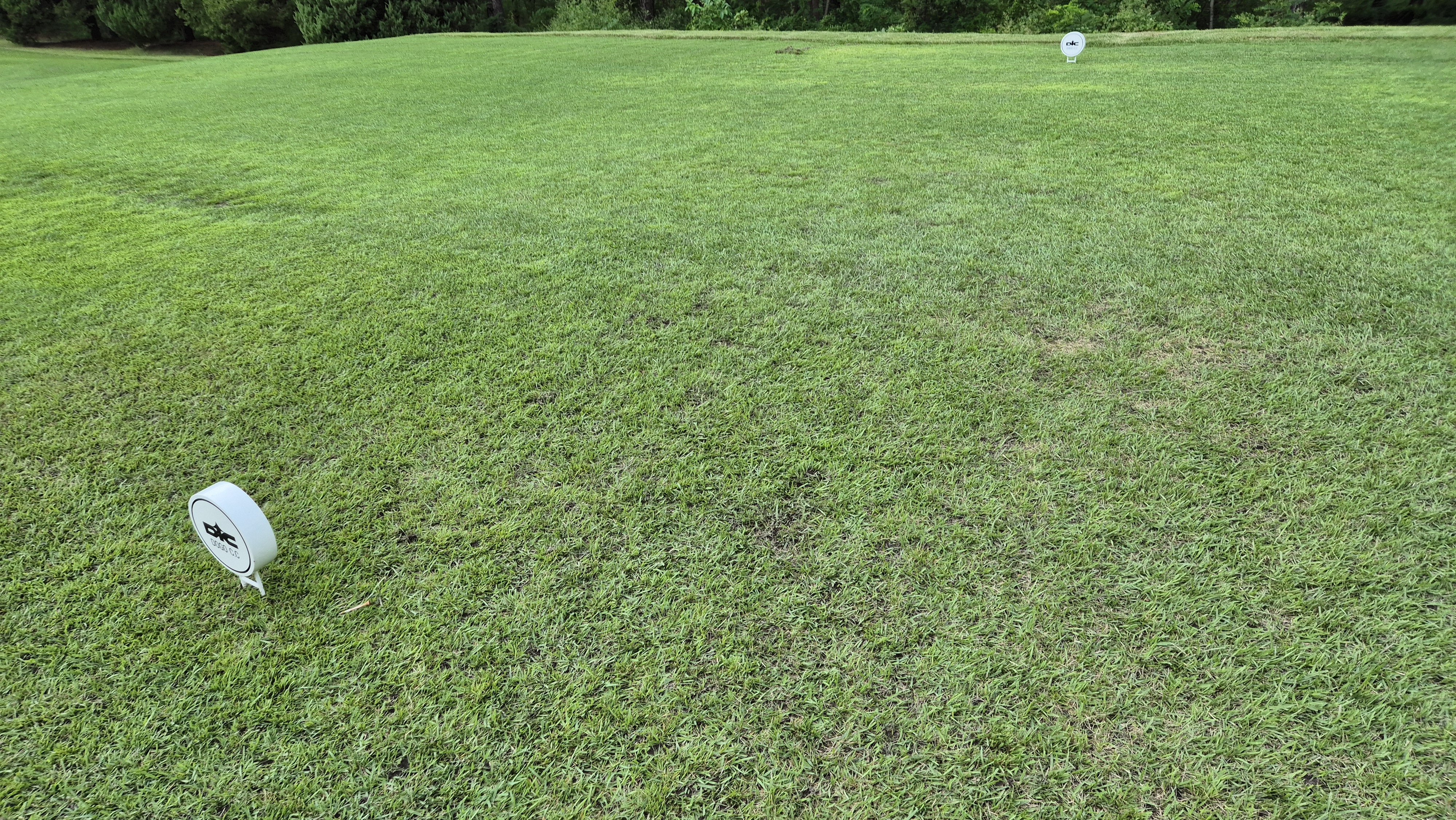 도고cc 티잉구역상태