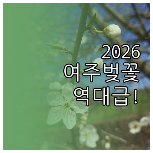 2026 여주 벚꽃 명소 추천 흥천 ..