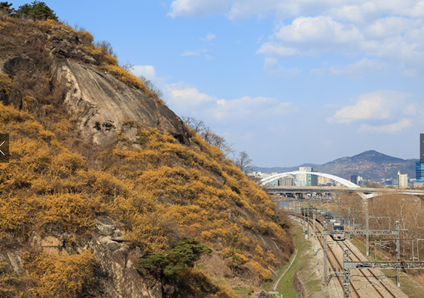응봉산 전경