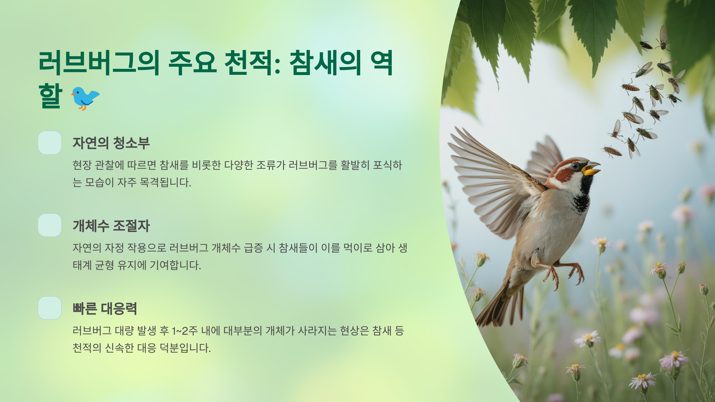 3. 작지만 강한 천적: 거미의 은밀한 사냥 🕷️