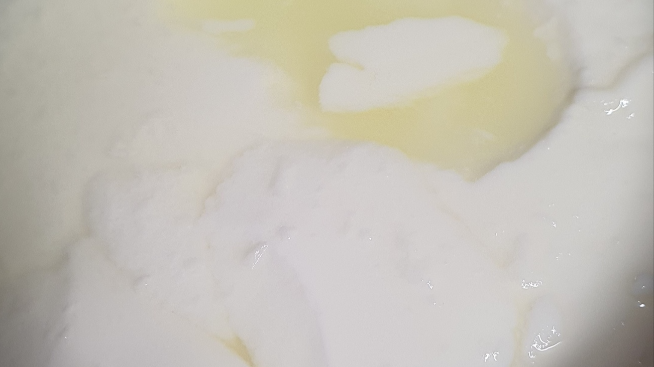 9시간 발효후 유청과 요거트가 된 우유모습