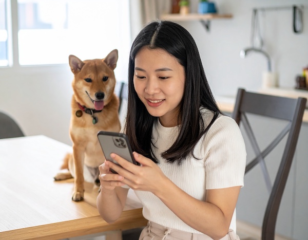 반려동물 해외여행 건강검진 및 광견병 확인서