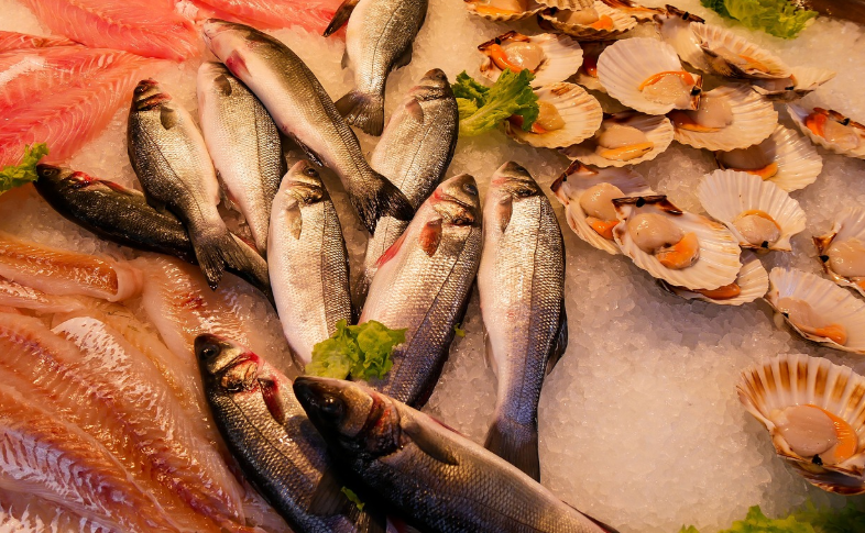 강원도동해안해산물이미지