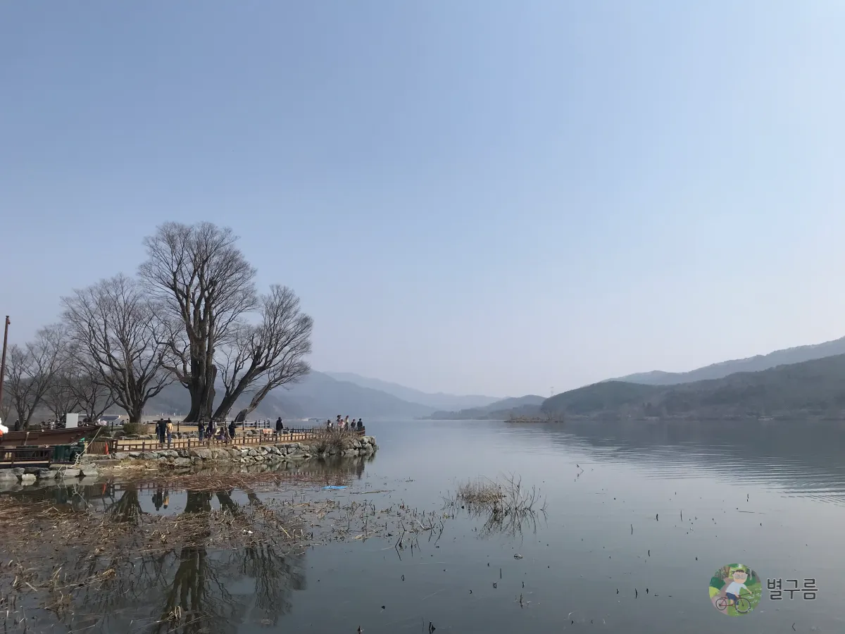 두물머리-느티나무-배-나무-옆에-정착해있다