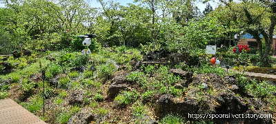 제주스누피가든