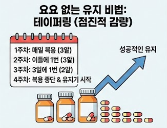 요요 없는 유지 비법
