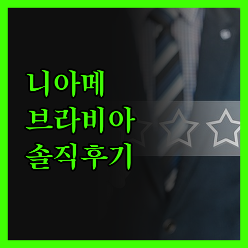브라비아 호텔 니아메이, 최고의 선택