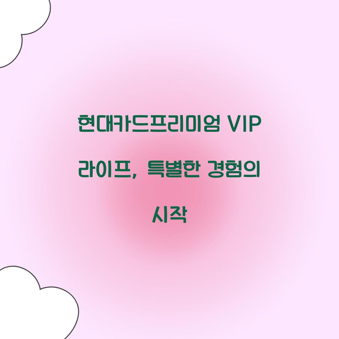 현대카드프리미엄 VIP 라이프