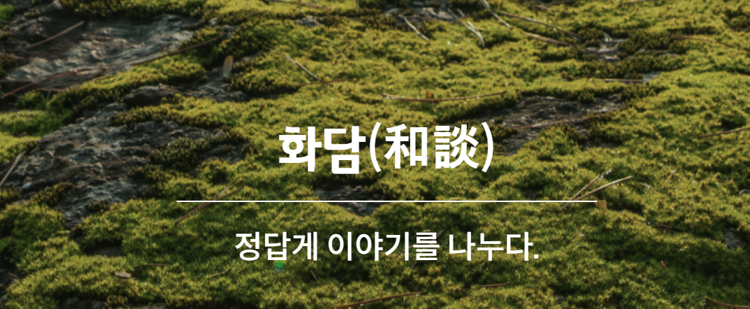 화담숲 봄 수선화 축제