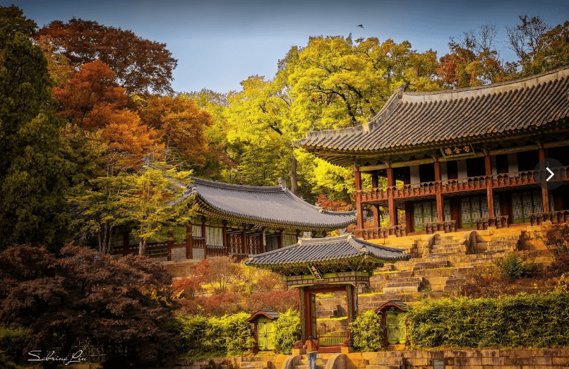 창덕궁 부용지와 주합루