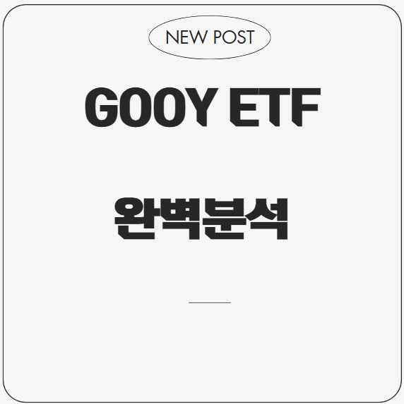 GOOY ETF 완벽분석