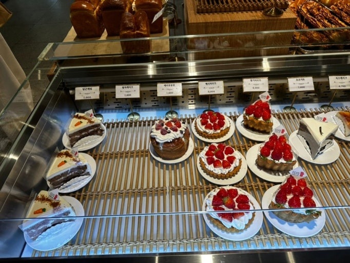 사직야구장 주차부터 맛집, 카페까지 완벽 코스