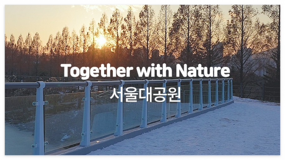 서울대공원 설날 아이와 가볼 만한 곳 푸른 용과 멸종위기 동물 구해용 체험 학습 신청 가격